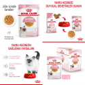 Royal Canin Kitten Jelly 85 Gr x 12